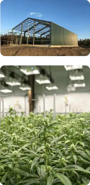 Cannabis Steel Building Design Canada – Tower Steel Buildings Cannabis cultivation facility in a prefab steel building in Canada